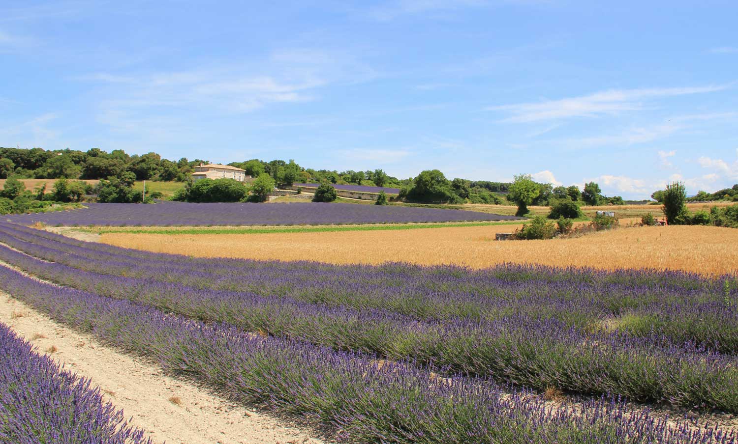 Ferienhaus Vermietung im Gard, Frankreich -Landhausaktivitaten