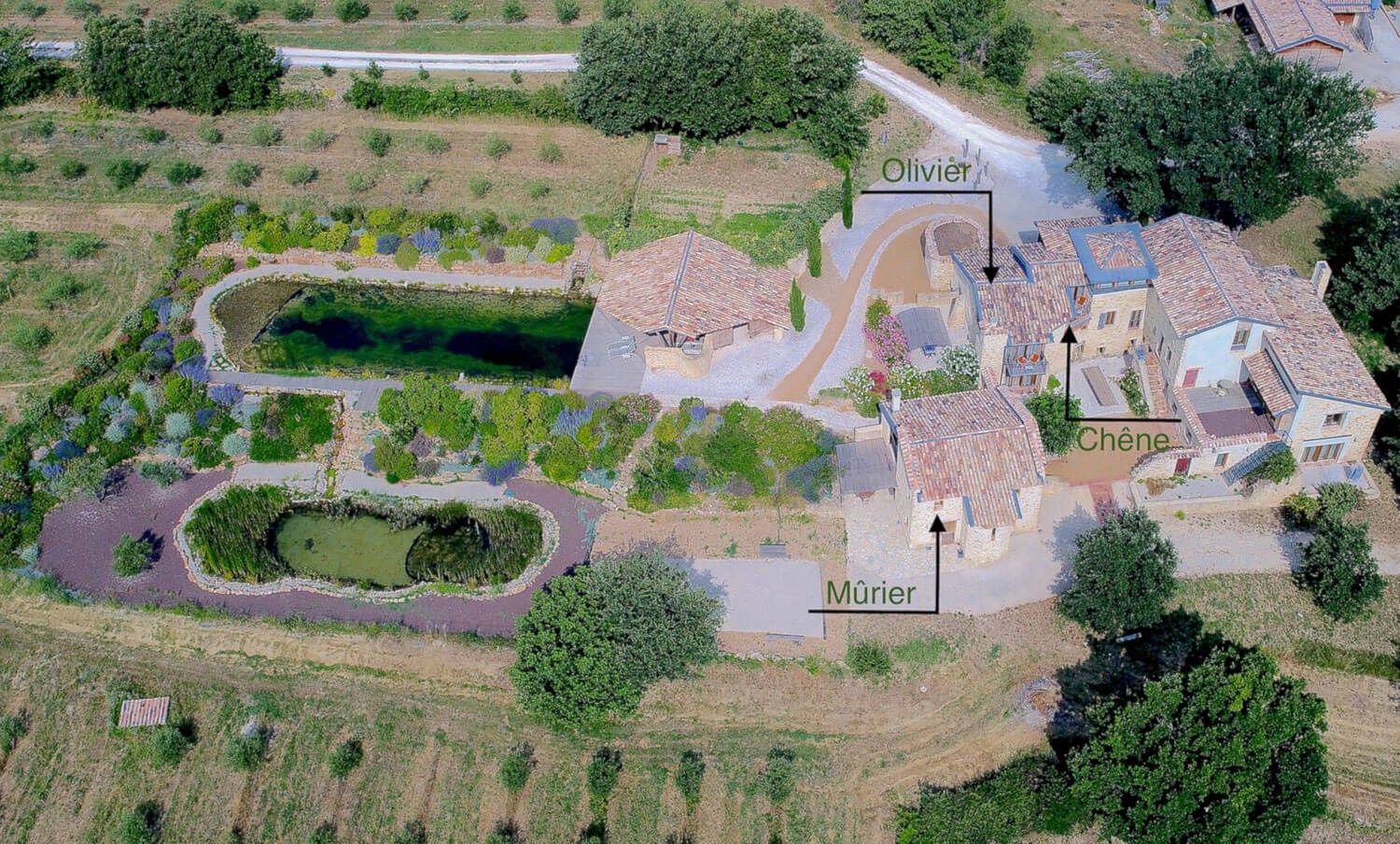 Ferienhaus Vermietung im Gard, Frankreich -Landhausaltes-stein-landhaus